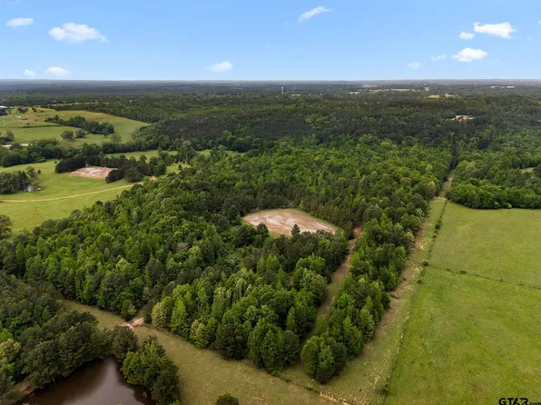 21360 County Road 294, Arp, TX 75750
