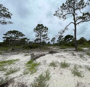 446 Bald Point Rd, Alligator Pt, FL, 32346