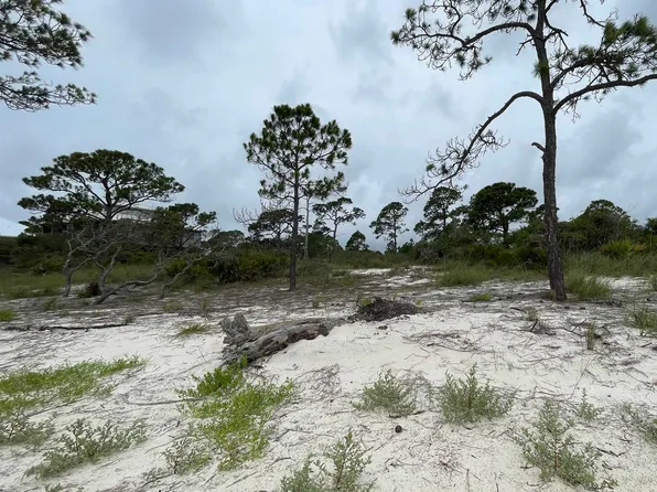 446 Bald Point Rd, Alligator Pt, FL 32346