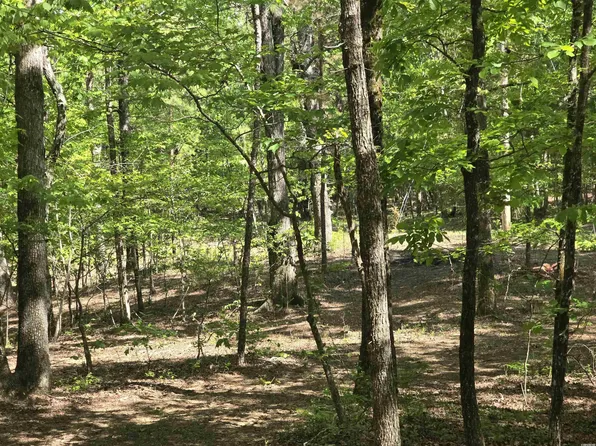 LOT 3305 Ohio Dr, Hot Springs National Park, AR 71913