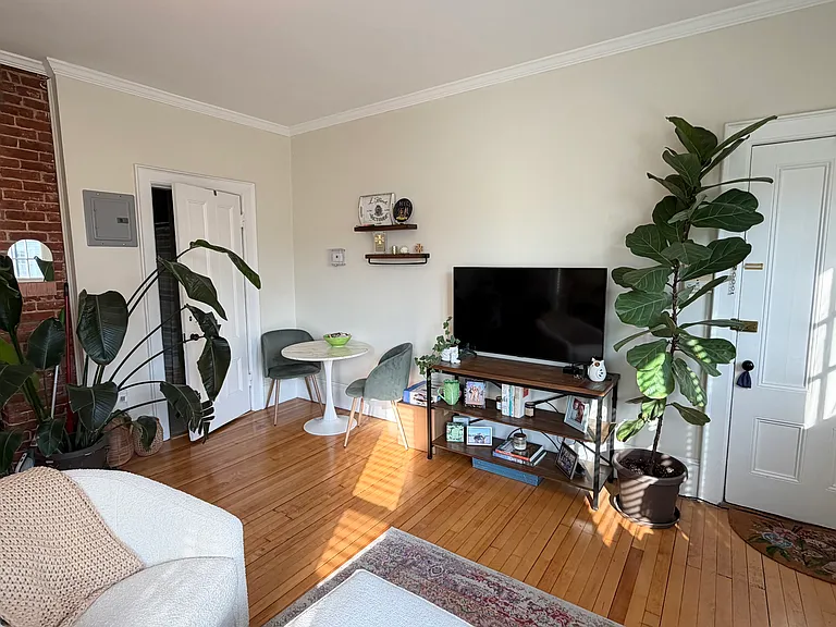 54 Lothrop St #6 — Photo 4