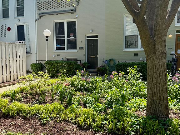 Front door- Front Yard