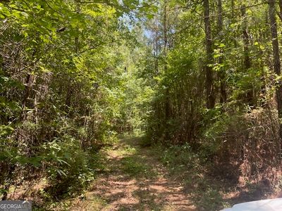 TRACT 2 Sheppard Rd, Franklin, GA, 30217