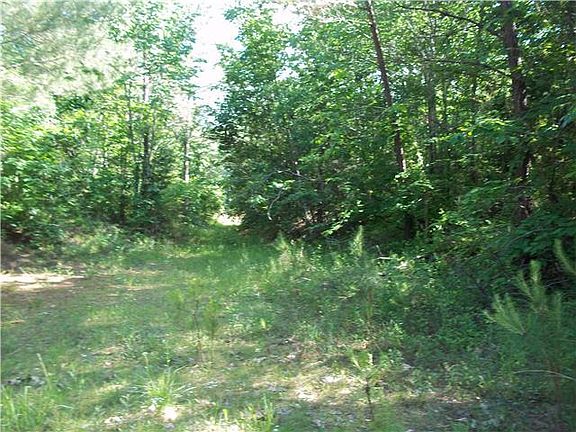 3rd image of 5885 Old Highway 13