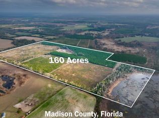 Tbd Ne Duval Pond Rd, Madison, FL 32340