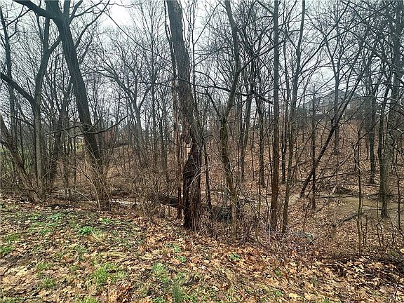 2nd image of LOT 1 Woodhaven Dr