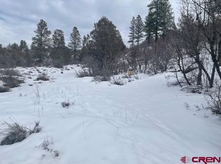 389 Bobcat Ln, Pagosa Springs, CO 81147