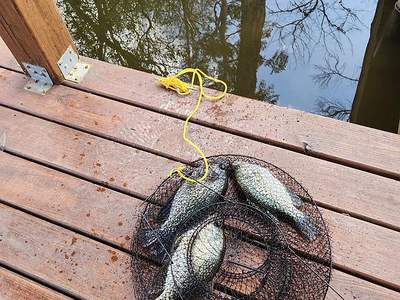 5th image of 11249 Hamrick Lake Rd