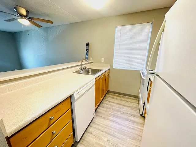 1 bed, 650 sqft, $1,260 — Photo 3