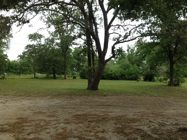 131 Honey Tree Ln — Photo 16