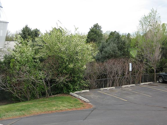 View from front porch