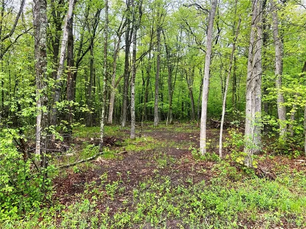 XXX Pike Bend Road, Webster, WI 54893
