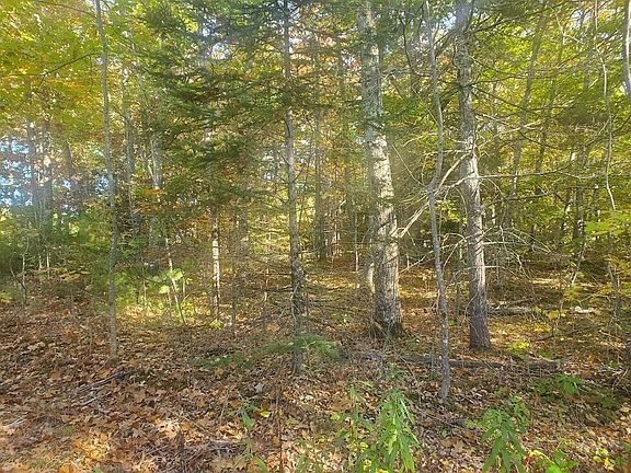 2nd image of Lot 24-1 Lillian's Lane