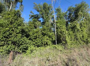 89th Rd, Mc Alpin, FL 32062