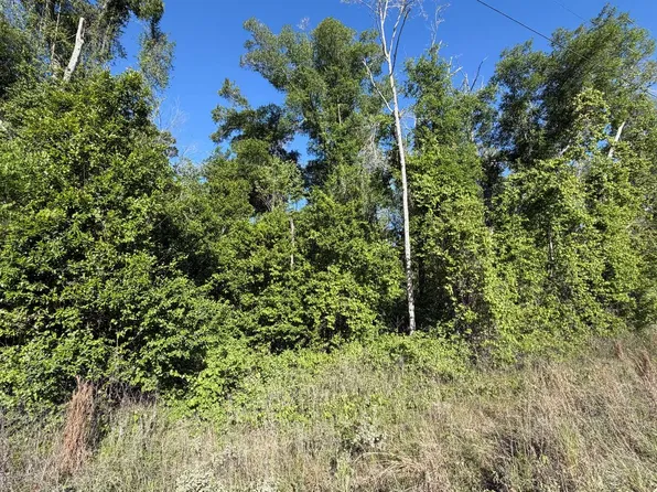 89th Rd, Mc Alpin, FL 32062