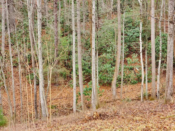 108 Mary Evelyn Cir, Johnson City, TN 37601