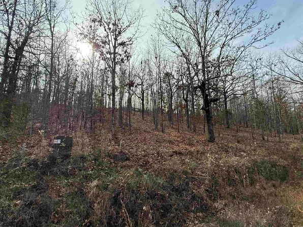 TRACT 93 Vernon Court Rd, Austin, AR 72007