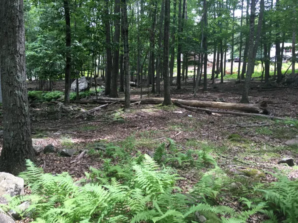 Bear Dr, Drums, PA 18222