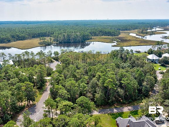 4th image of Palmetto Point