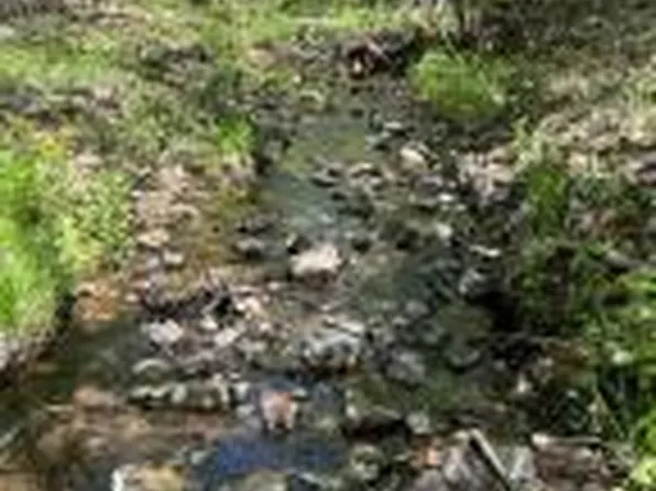 11421 N Elixir Ln, Lead Hill, AR 72644