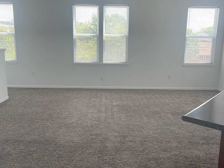 930 Dr Martin Luther King Jr St — Photo 3