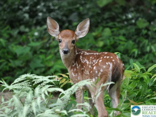 94 Blairwood Ln, Albrightsville, PA 18210