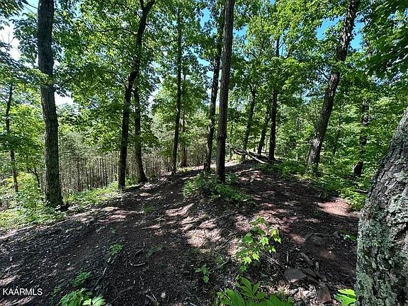 4th image of Mountain Grove Ln