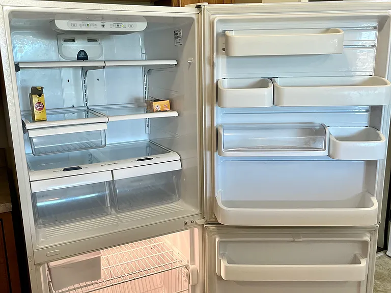 Full Size Fridge with Bottom Freezer