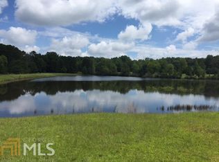 13668 Panhandle Rd, Hampton, GA 30228