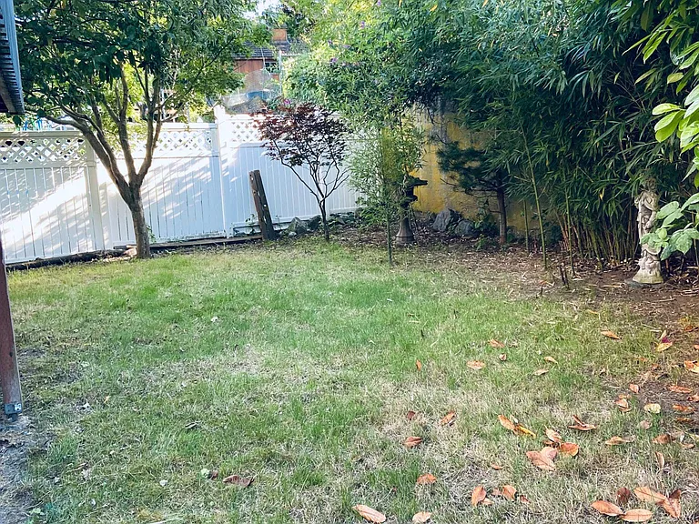 Fenced back yard