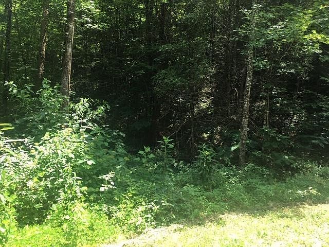 1st image of 2 Gnatty Branch Rd Lot Tr2