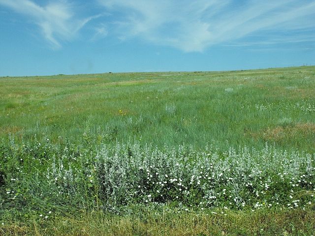 2nd image of Lot #27 Hlousek Lane #3208127