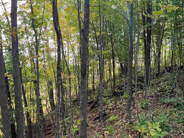 Ford River Rd, Felch, MI 49831