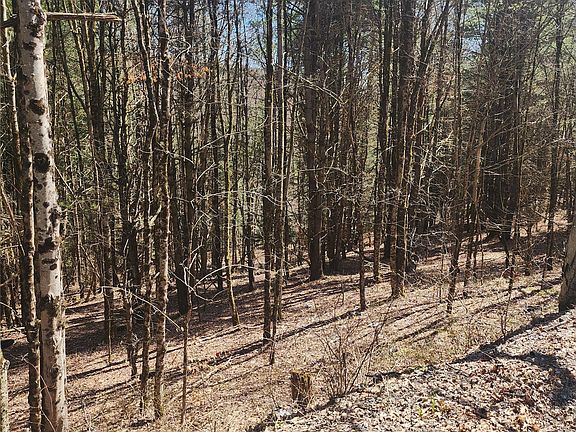 5th image of 114 & 234 Tarbell Hill Rd
