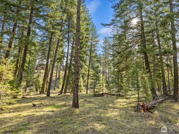 52 Wanawish Loop, Cle Elum, WA 98922