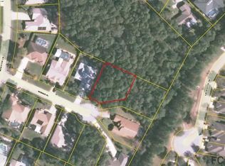 11 Webner Pl, Palm Coast, FL 32164