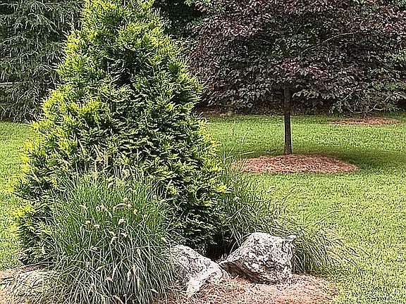 2nd image of 317 Seabolt Hollow Rd SE