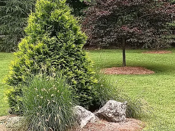 317 Seabolt Hollow Rd SE, Fairmount, GA 30139