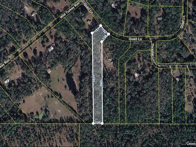Quail Ln, Monticello, FL, 32344