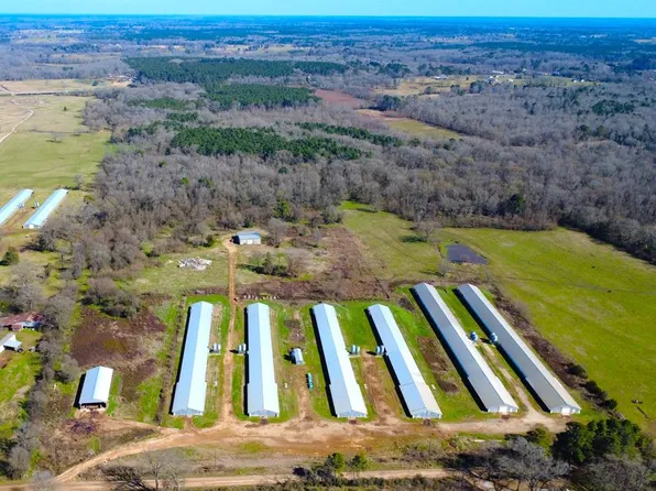 2550 County Road 4293, Tenaha, TX 75974