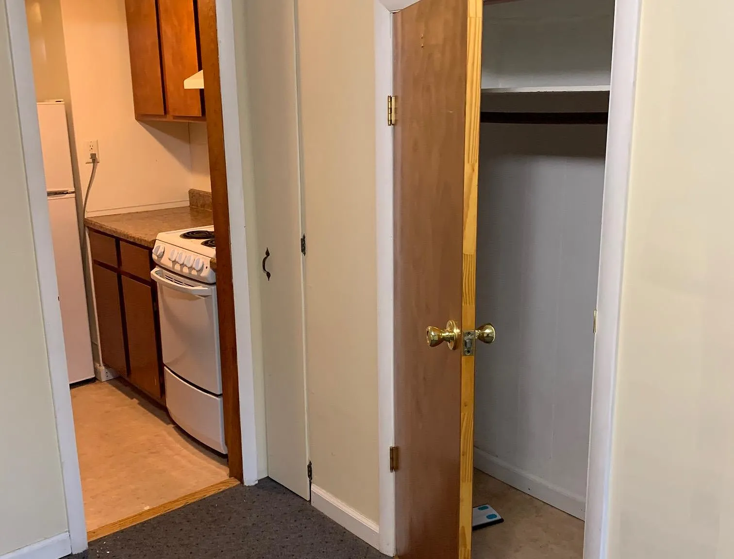 Studio, 300 sqft, $825 — Photo 3