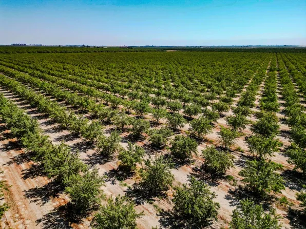 2457 E Clarkson Ave, Selma, CA 93662