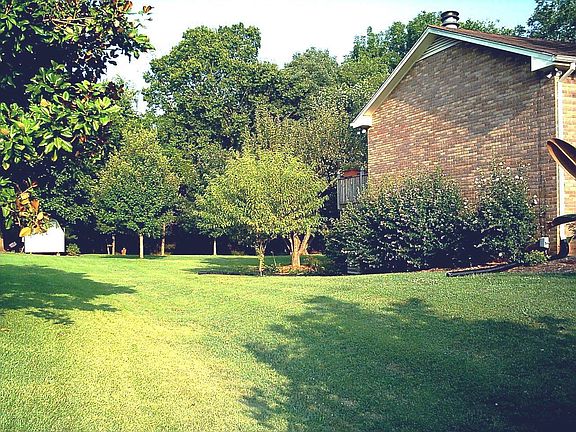 tree lined 1/2 acre lot