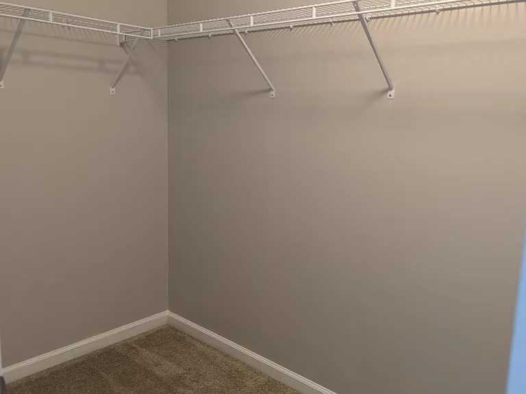 Primary walk-in closet #2 (not pictured, new carpeting)