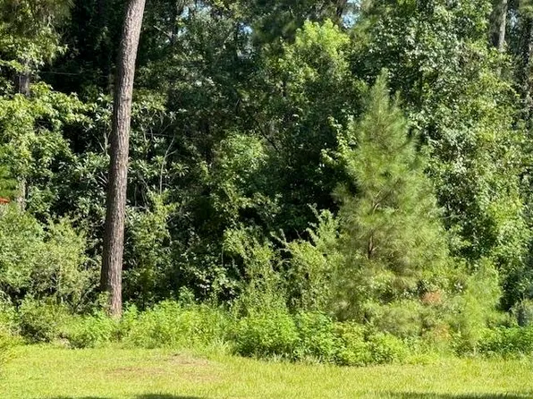 344 Carter Rd, Quincy, FL 32351