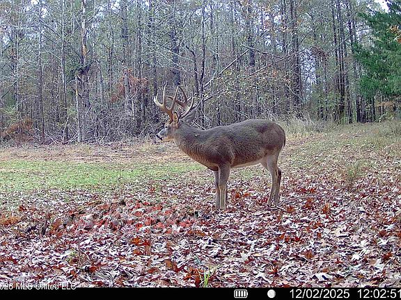 5th image of 560 Pocahontas Rd