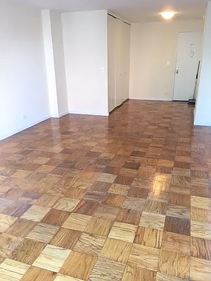 Rented by Manhattan Apartment Organization | media 23