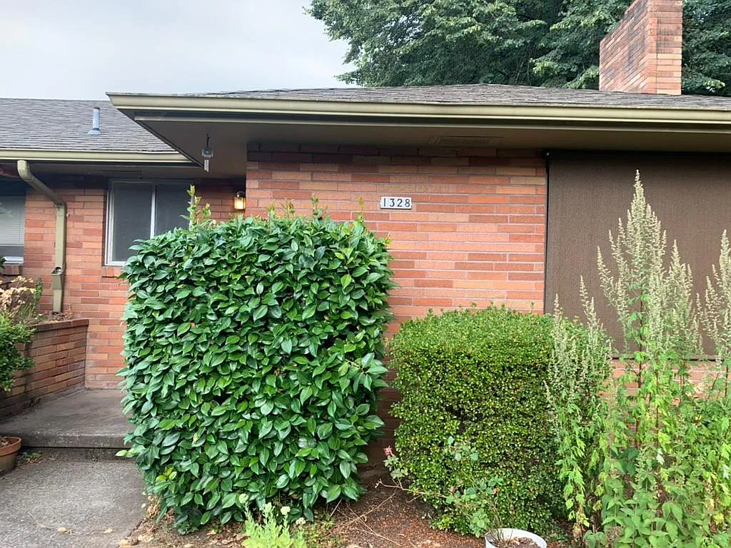 2 bed, 1950 sqft, $2,400 — Photo 4