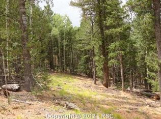 27 Haven Rd, Divide, CO 80814