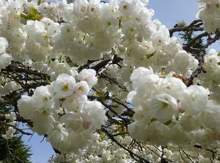 7407 180th St SW, Edmonds, WA 98026